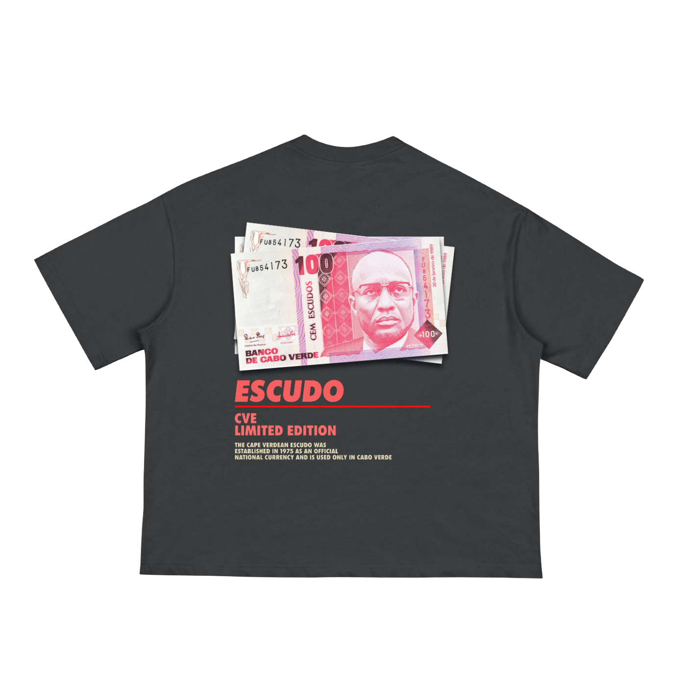 ESCUDO OVERSIZED BOXY TEE